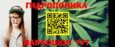 крисы Волжский