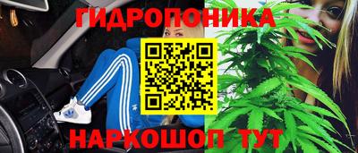 индика Волжск