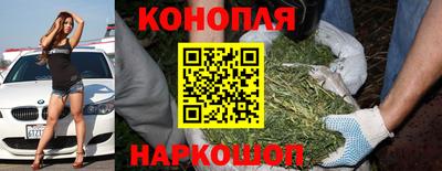 крисы Волжский